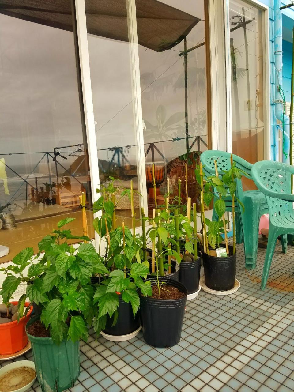 Ocean Home Guest House Miyazaki Esterno foto